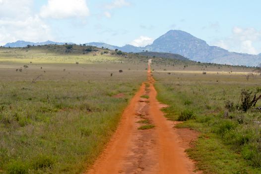 Red earthen track in East Tsavo Park, Kenya