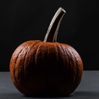 One dark pumpkin isolated on black background