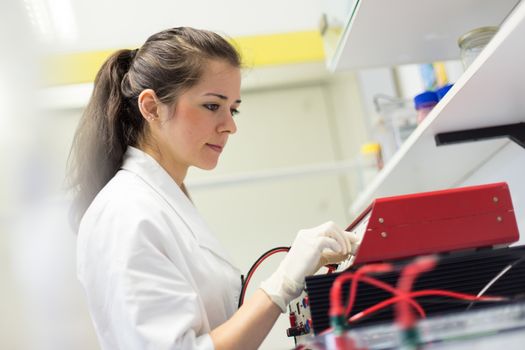 Focused attractive young life science researcher setting voltege on power supply to run electrophoresis for protein or DNA sepparation. Focus on the researcher's face.