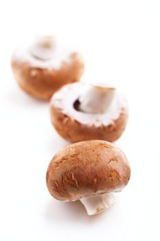 Fresh Mushrooms: Champignon on a white surface