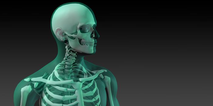 Medical Illustration of Human Body and Bones as Art