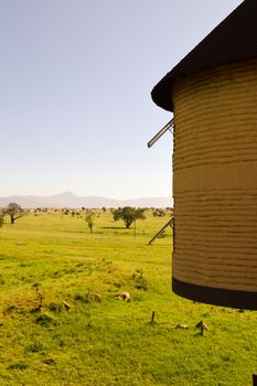 Hotel room hanging over the savanna of Tsavo West Park in Kenya