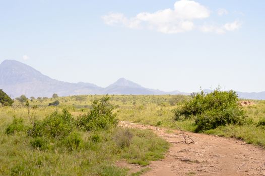 View of the Tsavo East savannah in Kenya with the mountains in the background