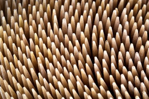 abstract background or texture Beech thin pointed needles
