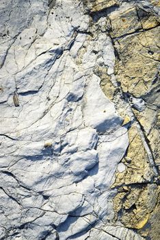 abstract background or texture two colored limestone rock