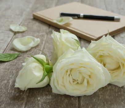 White Roses In vintage style