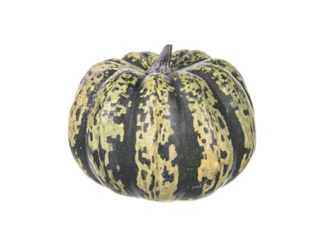 Japanese pumpkin species on white background