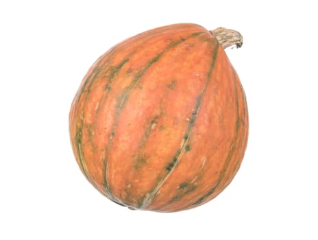 Japanese pumpkin species on white background