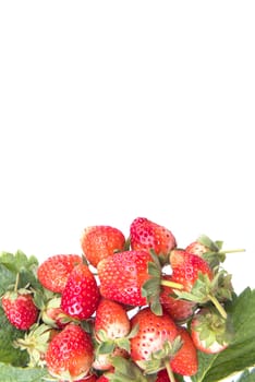 Strawberry with leaves isolated on a white background.