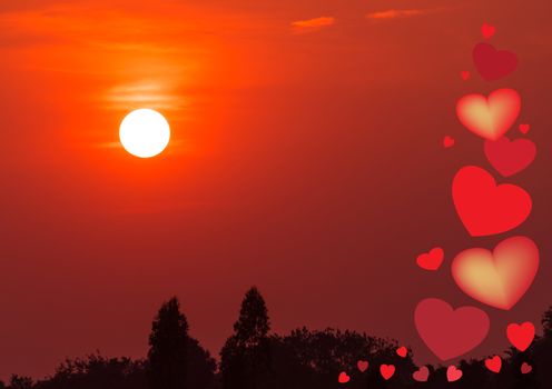 Valentine's Day and the first solar sky.