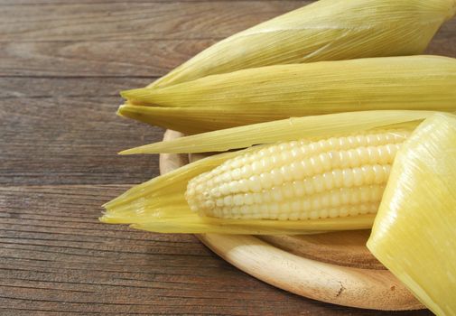 waxy corn,Corn, rice, and sticky,Corn sticky