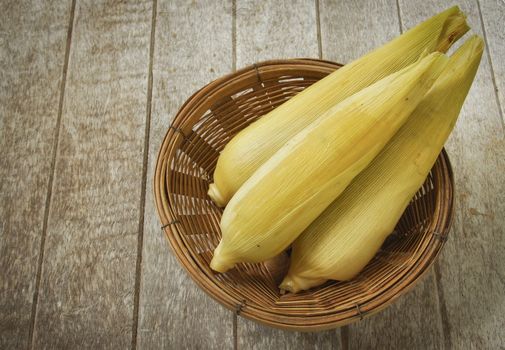 waxy corn,Corn, rice, and sticky,Corn sticky