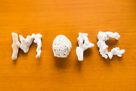 composition of exotic sea shells and starfish on a background