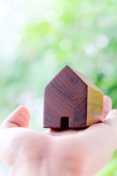 hand holding icon house, my dream house concept