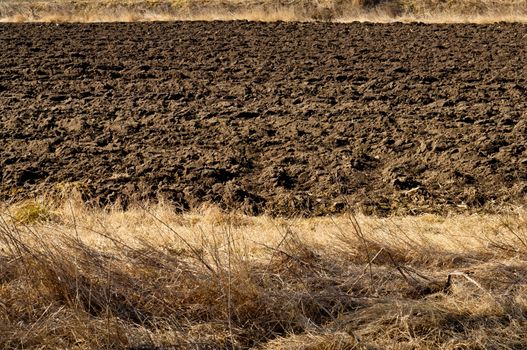 Plowed black soil in agricultural field 