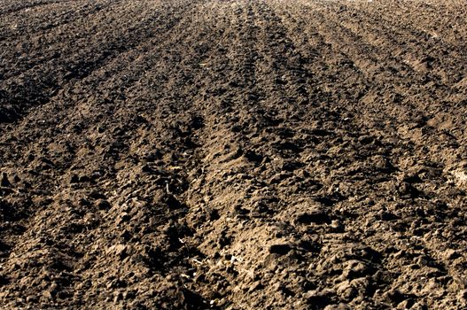 Plowed black soil in agricultural field 