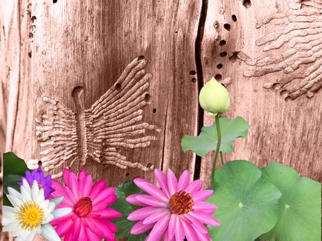 Romantic background for Nature frame with Lotuses flowers and green leaf on wooden texture. 