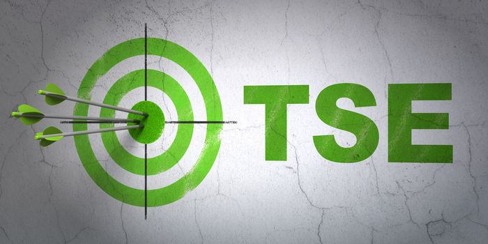 Success Stock market indexes concept: arrows hitting the center of target, Green TSE on wall background, 3D rendering