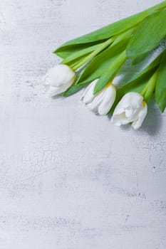 Fresh White tulips on a wooden table
