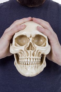 Human skull in human hands on a blue background