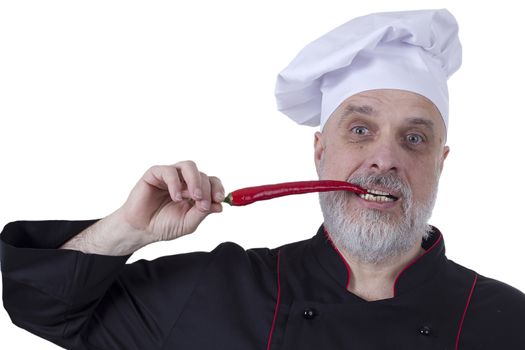 Bearded chef biting hot chili pepper on a white background