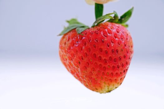 Close Up One Red Strawberry