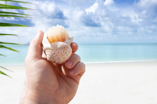 close up view of man's hand with shell on tropical beach background