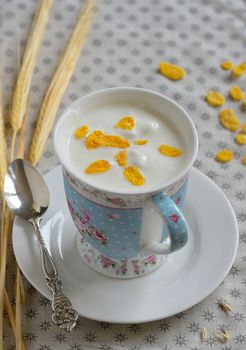 Cup of yogurt with crunchy cereals