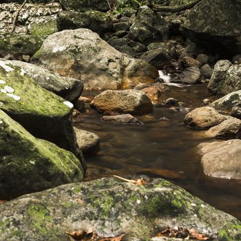 Natural Bridge Creek at Springbrook in Queensland