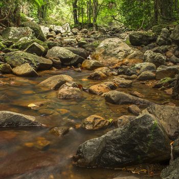 Natural Bridge Creek at Springbrook in Queensland.