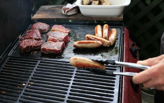 The image of fried meat on a plate