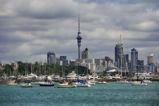 Waitemata Harbour Auckland Harbour View. North Island New Zealand
