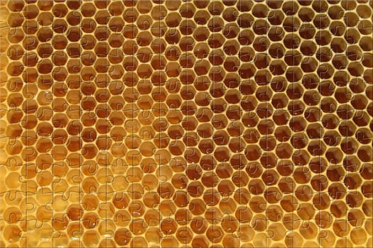 Environment in which they live and produce honey our bees friends