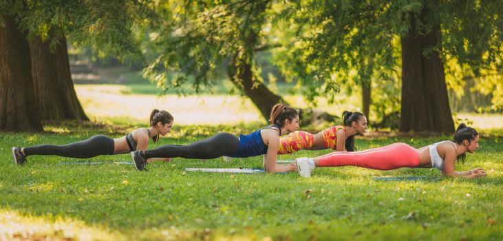 Four beautiful female friends doing plank exercise in the park. 