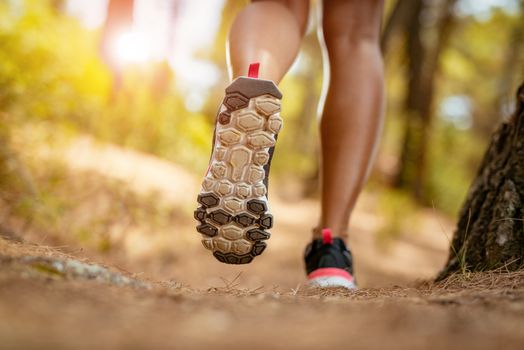 Close-up of unrecognizable female person running through the pine forest. Rear view.