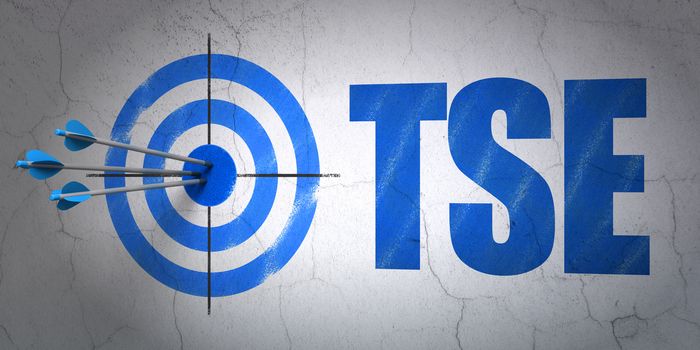 Success Stock market indexes concept: arrows hitting the center of target, Blue TSE on wall background, 3D rendering