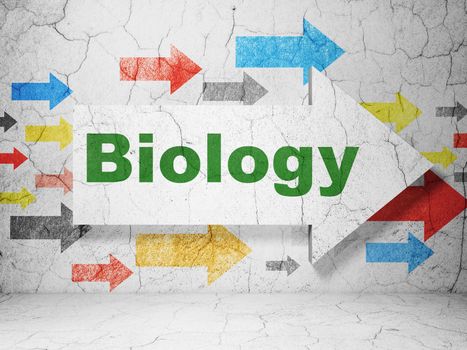 Science concept:  arrow with Biology on grunge textured concrete wall background, 3D rendering