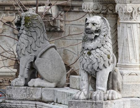 Gothic building decorated statue of a lion and historical shape ..