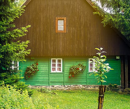 Detail of traditional mountain chalet, cottage or hut made of wood surrounded by spruce trees, painted green and brown with lawn in front of in warm light, relaxing vacation, local accommodation in Czech republic, middle Europe, Orlicke hory