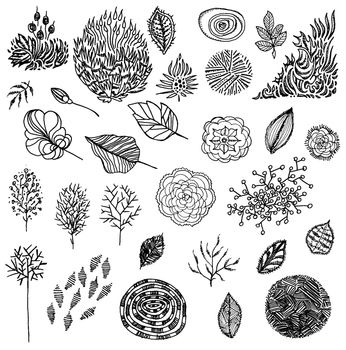 Set of sketches and line doodles - hand drawn design elements - isolated flowers, leaves, herbs - for decoration prints, labels, patterns - vector illustration.