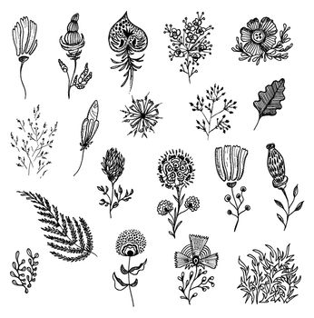 Set of sketches and line doodles - hand drawn design elements - isolated flowers, leaves, herbs - for decoration prints, labels, patterns - vector illustration.