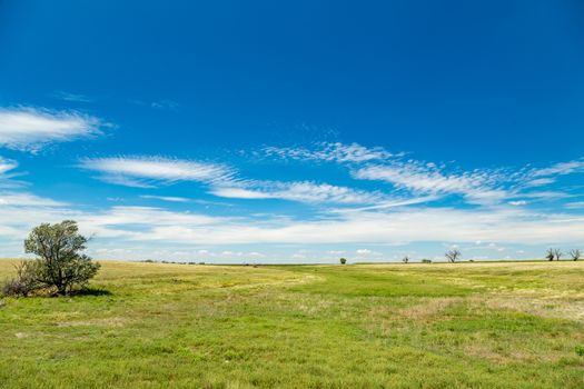 Three miles west of Deerfield, Kansas, on the north side of US Highway 50 is a pulloff where ruts left by the wagons of the Santa Fe Trail can still be seen.