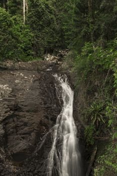 Natural Bridge Waterfall at Springbrook in Queensland
