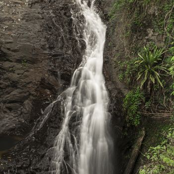 Natural Bridge Waterfall at Springbrook in Queensland.