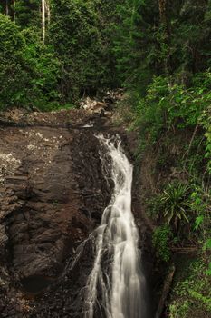 Natural Bridge Waterfall at Springbrook in Queensland