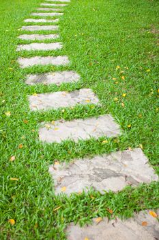 The Stone block walk path in green grass background