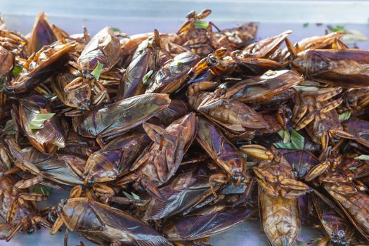 The exotic food menu in thailand is fried insect