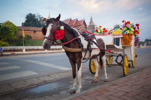 horse carriage in temple Phrathat Lampang Luang in Lampang, Thailand