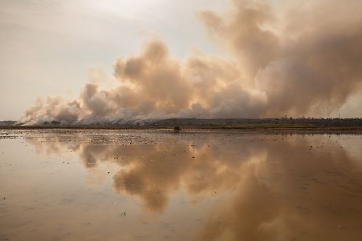 Burning garbage heap of smoke from a burning pile of garbage