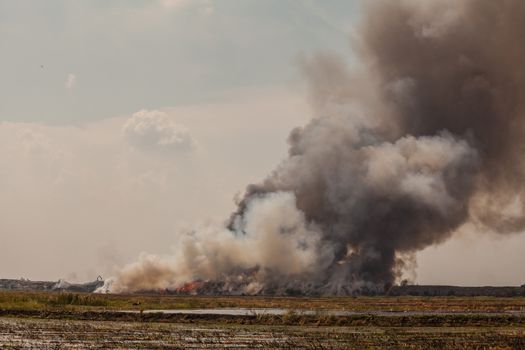 Burning garbage heap of smoke from a burning pile of garbage